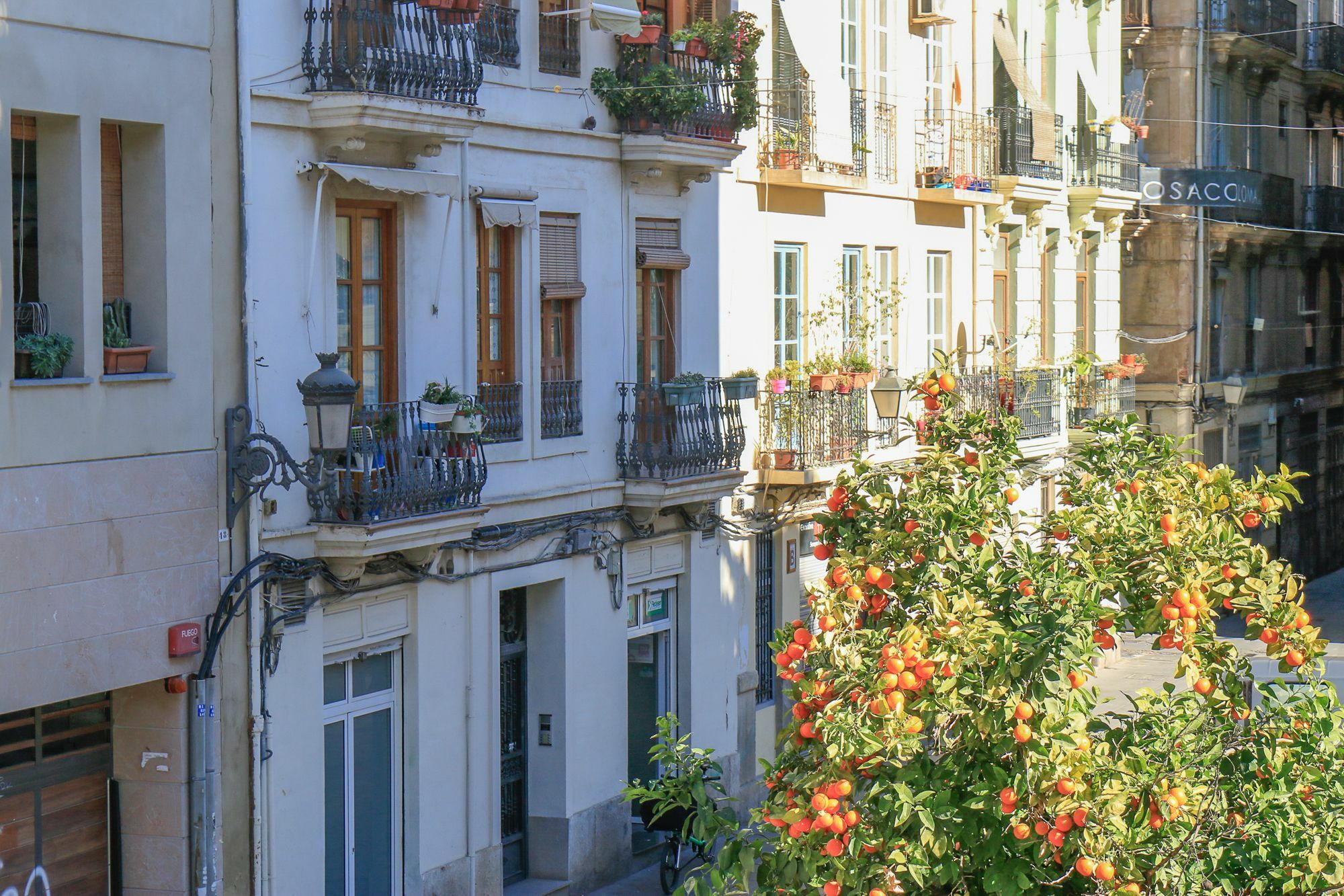 Ecobet Apartments Valencia Ngoại thất bức ảnh